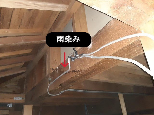 天井裏へ雨漏り調査